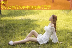 Eco-tourism development cases in Shanghai